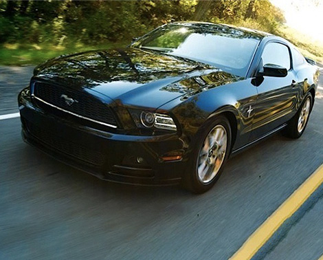 Mustang Premium